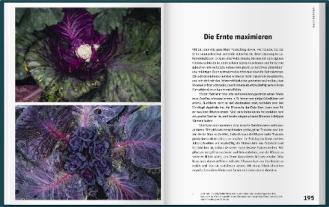 Christine Heinzius, Theres Lundén, Theres Lundén und Johannes Wätterbäck, Johannes Wätterbäck: Mit Kaltanbau zu grünen Wundern 