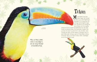 Ben Hoare, Daniel Long, Angela Rizza, Eva Sixt, Daniela Terrazzini, DK Verlag - Kids: Wundervolle Welt der Tiere 