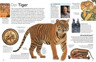 Susanne Schmidt-Wussow, DK Verlag - Kids, Juliet Clutton-Brock: memo Wissen. Katzen 