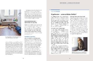 Carmen Schell: Wie wir Katzen glücklich machen 