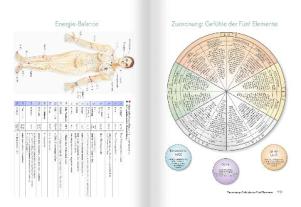 Roswitha Stark: Medizin zum Aufmalen: Heilen mit Zeichen und Symbolen. Das Basisbuch Neue Homöopathie 