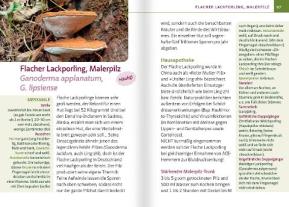 Gerit Fischer: Heimische Heil- und Vitalpilze. Kompakt-Ratgeber 