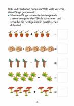 Martina Knapp, Heike Hünemann-Rottstegge, Ulrike Maier: Vorschule Übungsheft ab 5 Jahre für Junge und Mädchen - Zahlen entdecken 