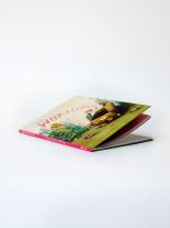 Simon Röthlisberger, Rebecca Gugger: Der Wortschatz: Bilderbuch-Bestseller über den spielerischen Umgang mit Sprache 