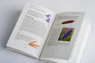 Manuel Larbig: Mein Wildkräuter-Guide 