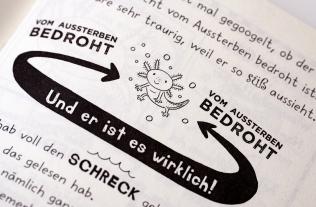 Daniela Kohl, Alice Pantermüller: Mein Lotta-Leben (21). Sei kein Trottel, Axolotl 