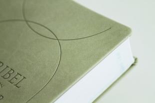 Joyce Meyer: Die Bibel mit Impulsen von Joyce Meyer, Kunstlederausgabe 
