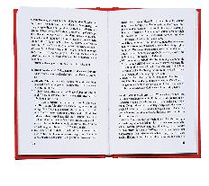 Arne Semsrott: Machtübernahme 