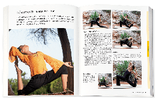 Inge Schöps: Yoga - Das große Praxisbuch für Einsteiger & Fortgeschrittene 