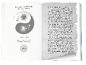Andreas Schwarz: Higher Mind. Die Gesetze des Bewusstseins 