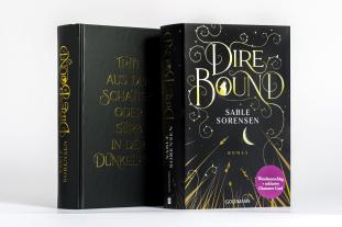 Nadine Pauli, Julia Schwenk, Sable Sorensen: Dire Bound 