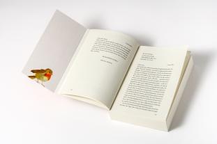 Regina Rawlinson, Virginia Evans: Die Briefeschreiberin 