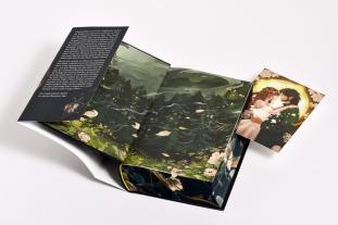 Michelle Gyo, Petra Koob-Pawis, Devney Perry: Shield of Sparrows 