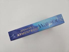 Vanessa Lamatsch, Jennifer L. Armentrout, J. Lynn: Wait for You 
