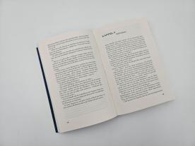 Richard Schwartz: Die Rovan-Intrige 