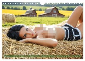 CALVENDO, Mb Fotografie: Sexy Bäuerinnen - Nackte Frauen auf dem Bauernhof (Wandkalender 2026 DIN A4 quer), CALVENDO Monatskalender 