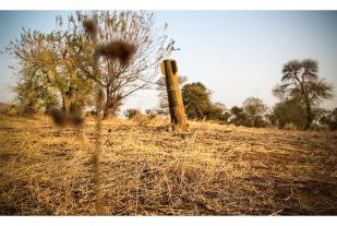 Julia Leeb: Menschlichkeit in Zeiten der Angst 