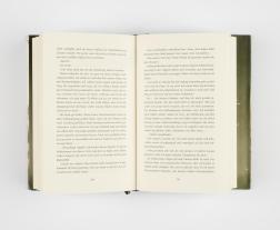 Julia Dippel: Izara 3: Sturmluft 