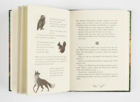 Sabine Bohlmann, Simona Ceccarelli: Ein Mädchen namens Willow 2: Waldgeflüster 