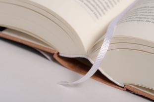 Matthias Glaubrecht: Das Ende der Evolution 