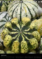 Joachim Barig: Kürbis: gesund · schmackhaft · dekorativ (Tischkalender 2023 DIN A5 hoch) 