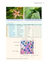 Paula Polak: Handbuch Wasser im Garten 