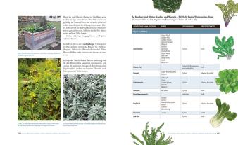 Doris Kampas, Ruth Veres: Das sensationelle Winterhochbeet 