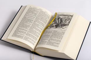 Martin Luther: Die Bibel - Altes und Neues Testament nach Martin Luther. In Cabra-Leder gebunden mit Goldprägung 