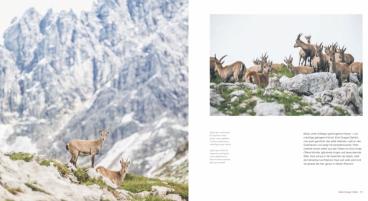 Nina Ruhland: Traum und Abenteuer – Der E5 