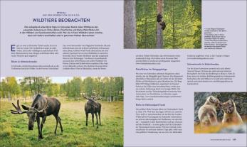 Lisa Arnold: Wild Places Schweden 