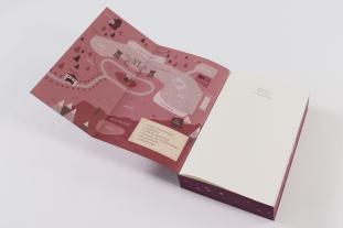 Alexandra Flint: Mont Lacroix (Band 1) - Longing for Lelibeth 