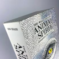 Kim Krans: The Wild Unknown Animal Spirit 