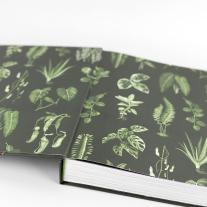 Lauren Camilleri, Sophia Kaplan: Plantopedia 
