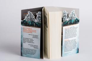 Kim Faber, Janni Pedersen: Winterland 