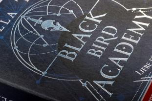 Stella Tack: Black Bird Academy - Liebe den Tod 