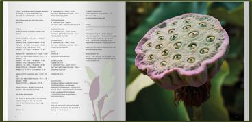 Annette Danielsen: Stricken mit Annette Danielsen 