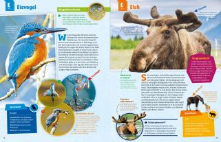 Andrea Weller-Essers: WAS IST WAS Geniale Tiere ... und ihre Tricks 