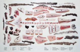 Josh Niland: Der ganze Fisch: Rezepte von der Flosse bis zur Kieme 