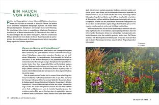 Ursula Kopp: Die schönsten Pflanzen, die wenig Wasser brauchen für Garten, Balkon und Terrasse - 66 trockenheitsverträgliche Stauden, Sträucher, Gräser und Blumen, die heiße Sommer garantiert überleben 