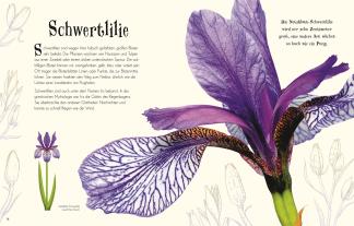Ben Hoare, DK Verlag - Kids: Wundervolle Welt der Natur 