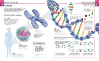 DK Verlag: Visuelles Wissen. Biologie 