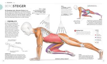 Anke Wellner-Kempf, DK Verlag, Ingrid S. Clay: HIIT - Die Anatomie verstehen 