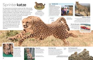 Susanne Schmidt-Wussow, DK Verlag - Kids, Juliet Clutton-Brock: memo Wissen. Katzen 