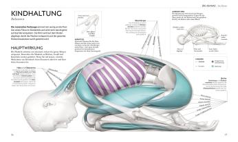 Wiebke Krabbe, Silke Schütze, DK Verlag, Ann Swanson: Yoga verstehen - Die Anatomie der Yoga-Haltungen 