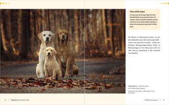 Regine Heuser, Heuser Regine: Hunde-Shooting - Fotografieren mit „Wau-Effekt“ 
