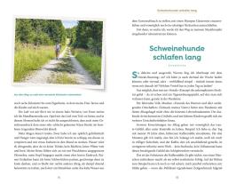 Wigald Boning: Lauf, Wigald, lauf 