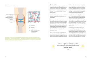 Dr. Wolfgang Dr. Feil, Dr. Wolfgang Feil, Wolfgang Feil, Tobias Homburg: Arthrose endlich heilen 