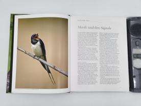 Einhard Bezzel, Jan Pedersen, Lars Svensson: Vogelstimmen 