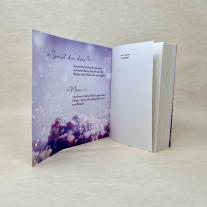 Sarah Stankewitz: Rise and Fall (Faith-Reihe 1) 