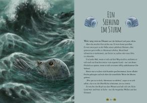 Chae Strathie, Erin Brown: Wunderwelt der Tiere im Meer 